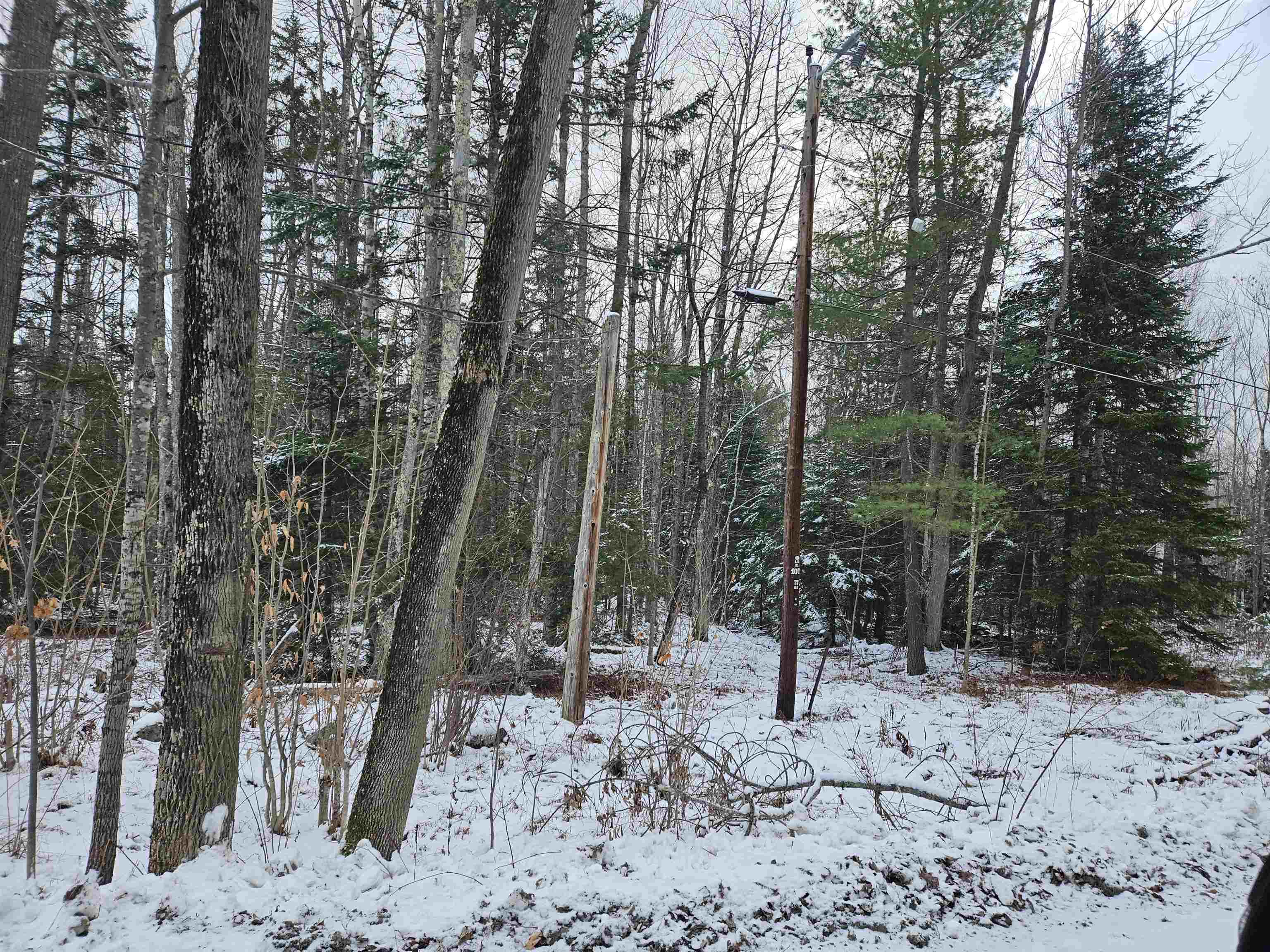 Lot 11 The Birches Road Sugar Hill, NH 03586 - Photo 14 of 20 Gallery Image 14