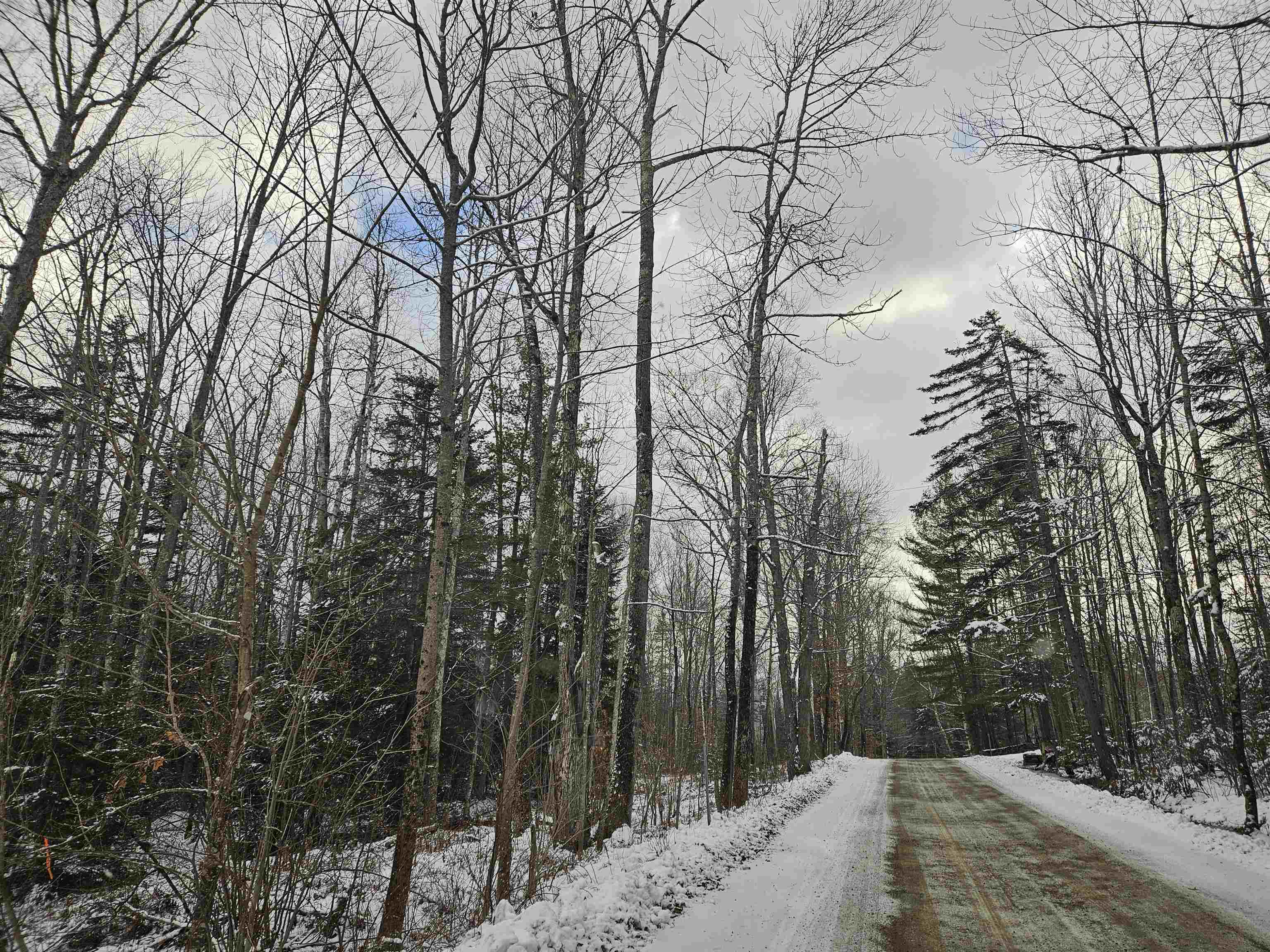 Lot 11 The Birches Road Sugar Hill, NH 03586 - Photo 15 of 20 Gallery Image 15
