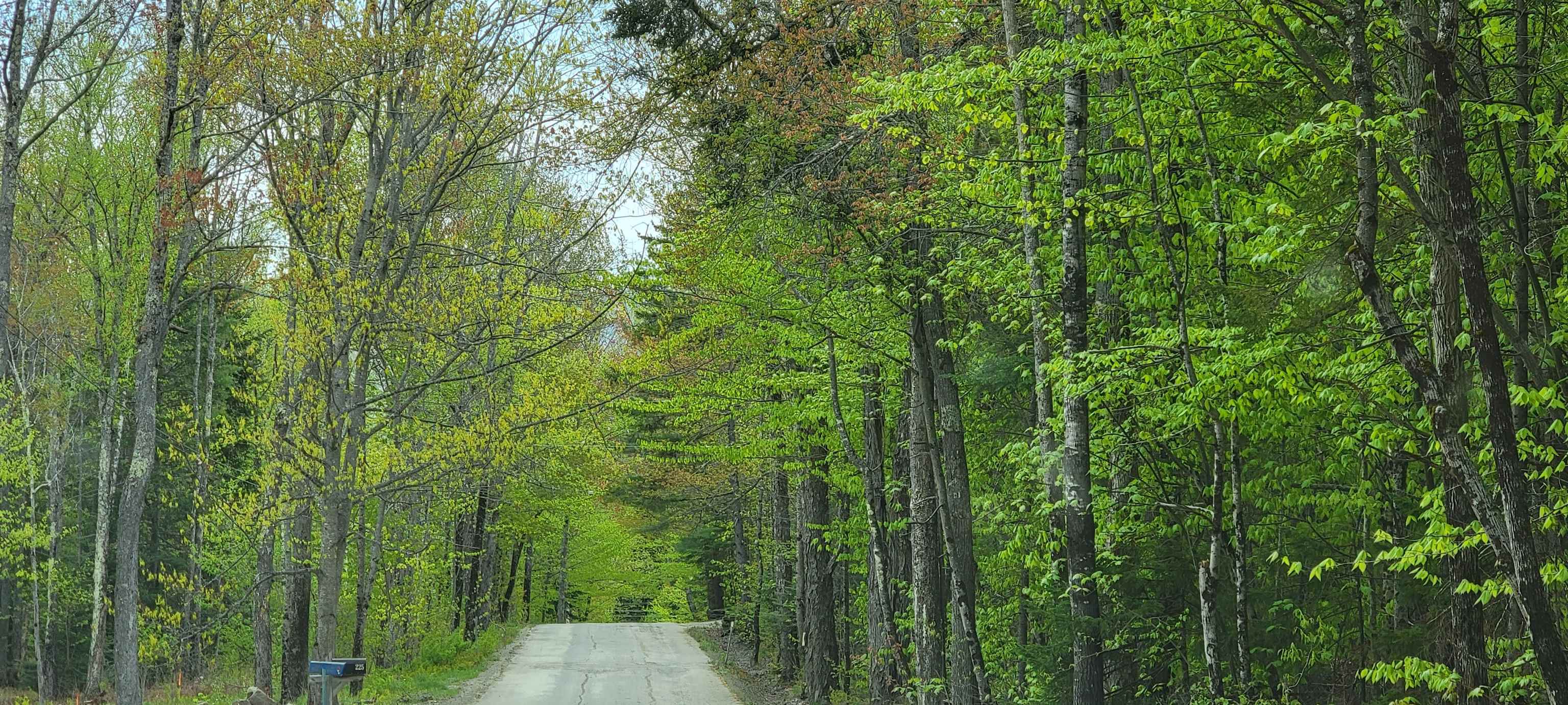 Lot 11 The Birches Road Sugar Hill, NH 03586 - Photo 16 of 20 Gallery Image 16