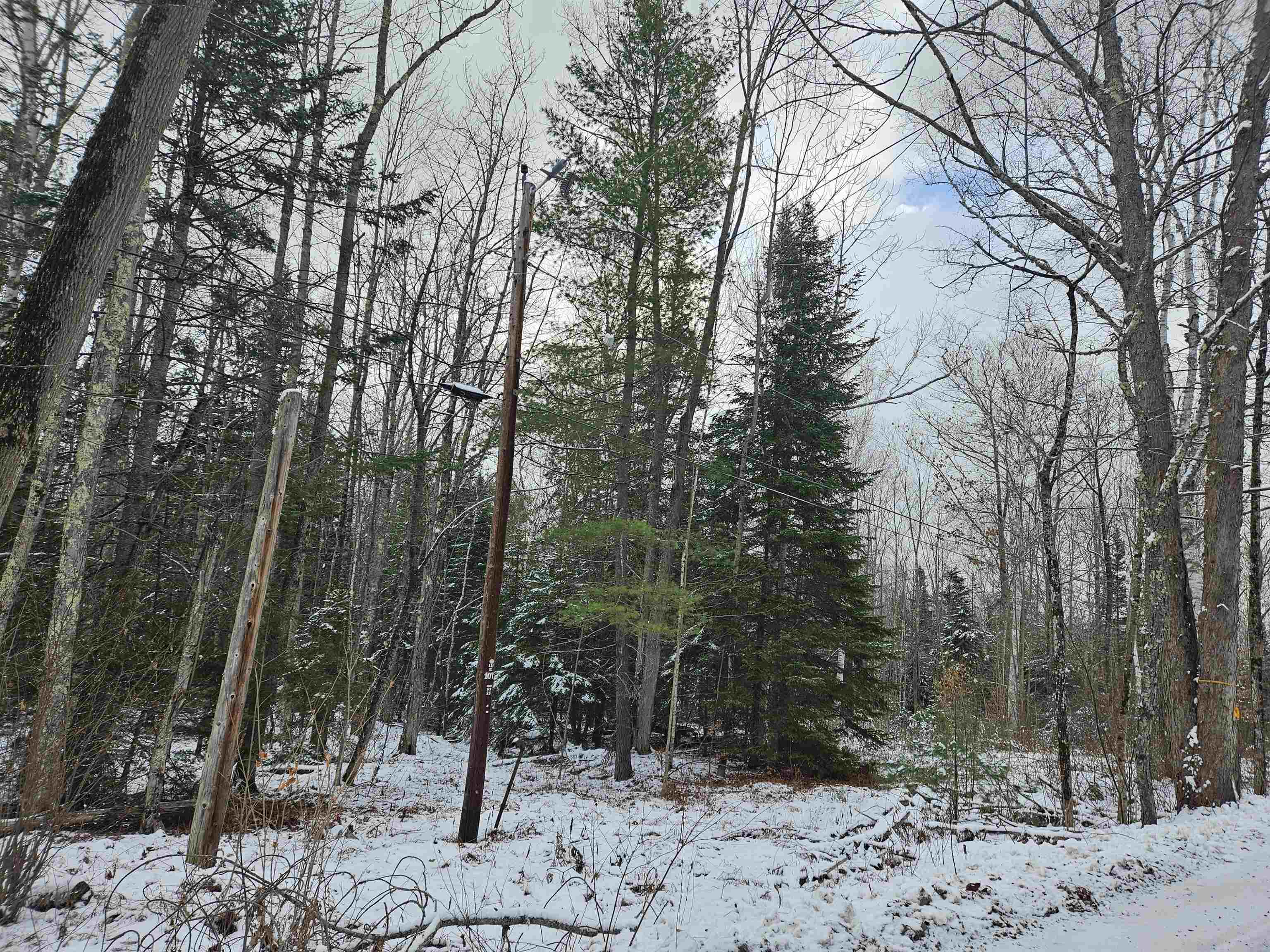 Lot 11 The Birches Road Sugar Hill, NH 03586 - Photo 17 of 20 Gallery Image 17
