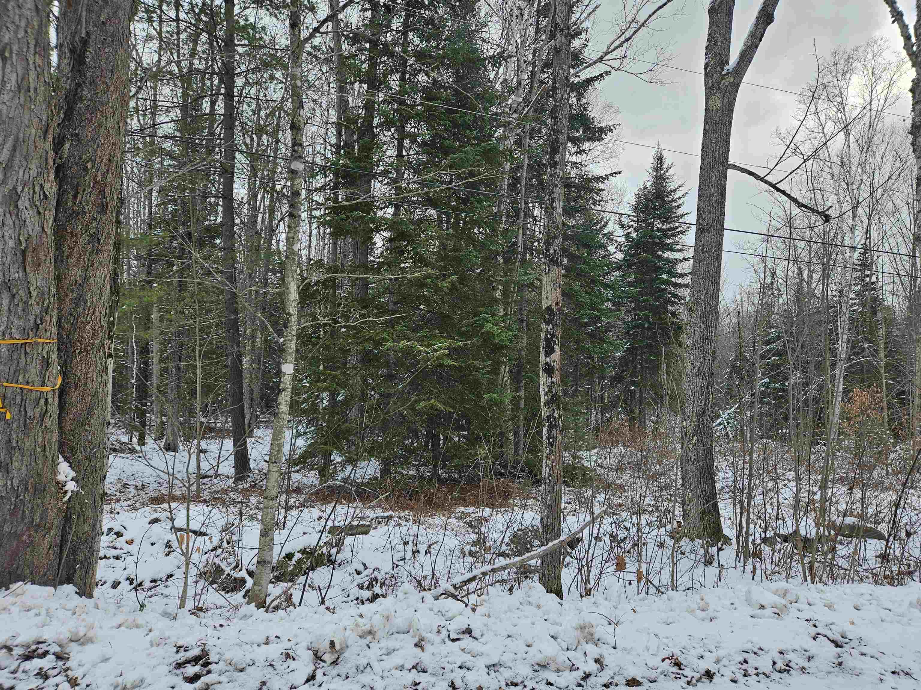 Lot 11 The Birches Road Sugar Hill, NH 03586 - Photo 18 of 20 Gallery Image 18