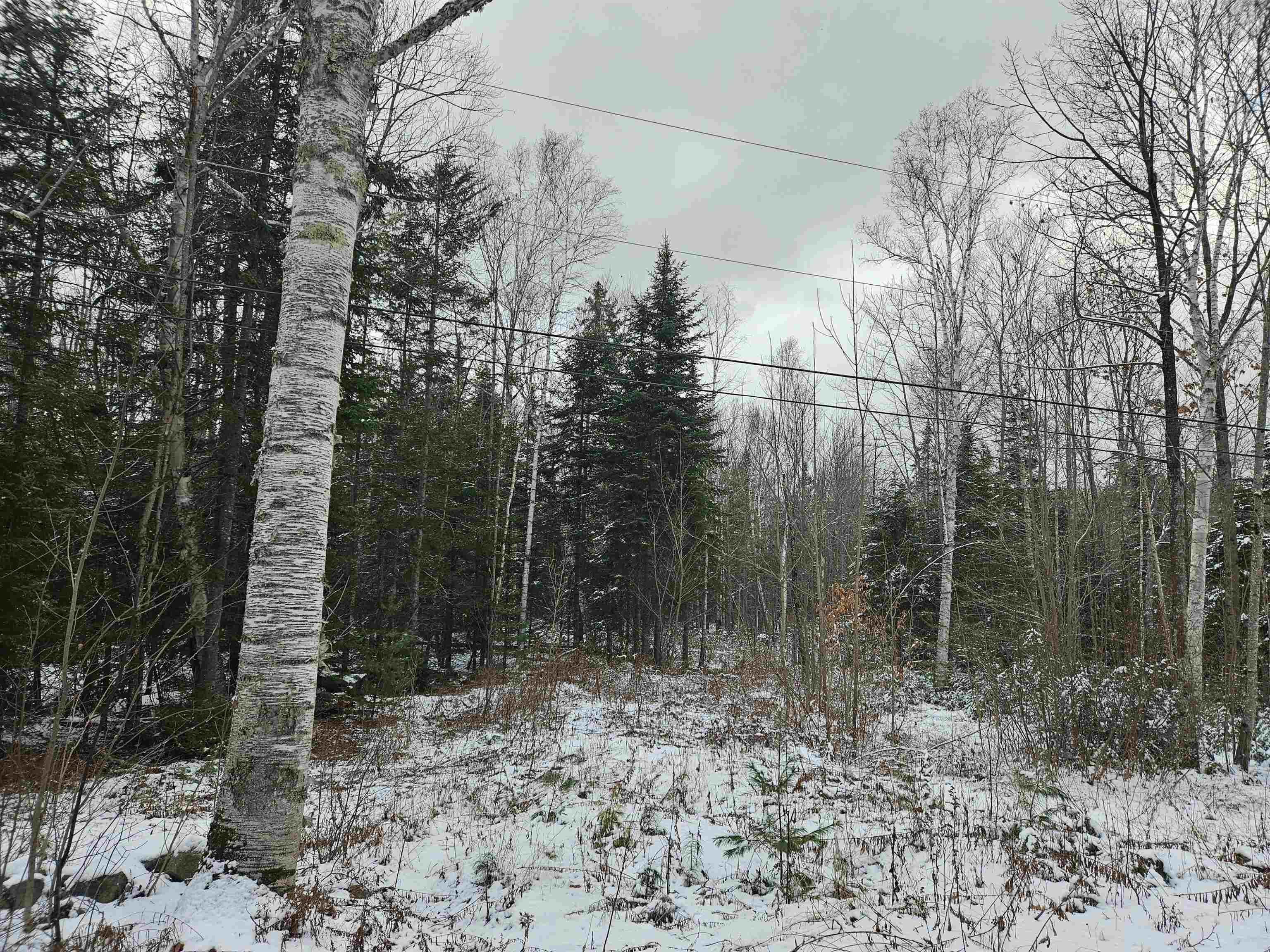 Lot 11 The Birches Road Sugar Hill, NH 03586 - Photo 19 of 20 Gallery Image 19