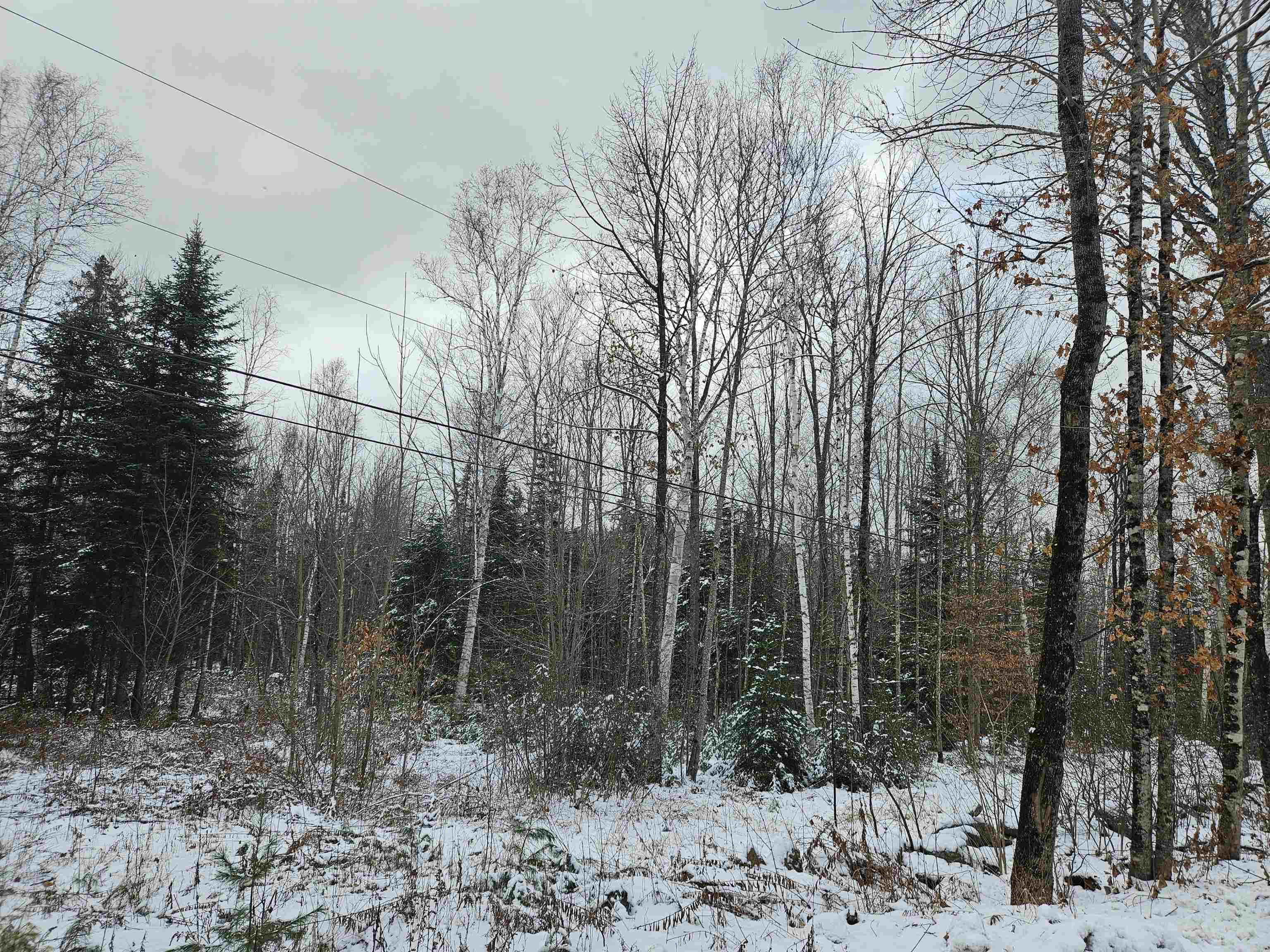 Lot 11 The Birches Road Sugar Hill, NH 03586 - Photo 20 of 20 Gallery Image 20