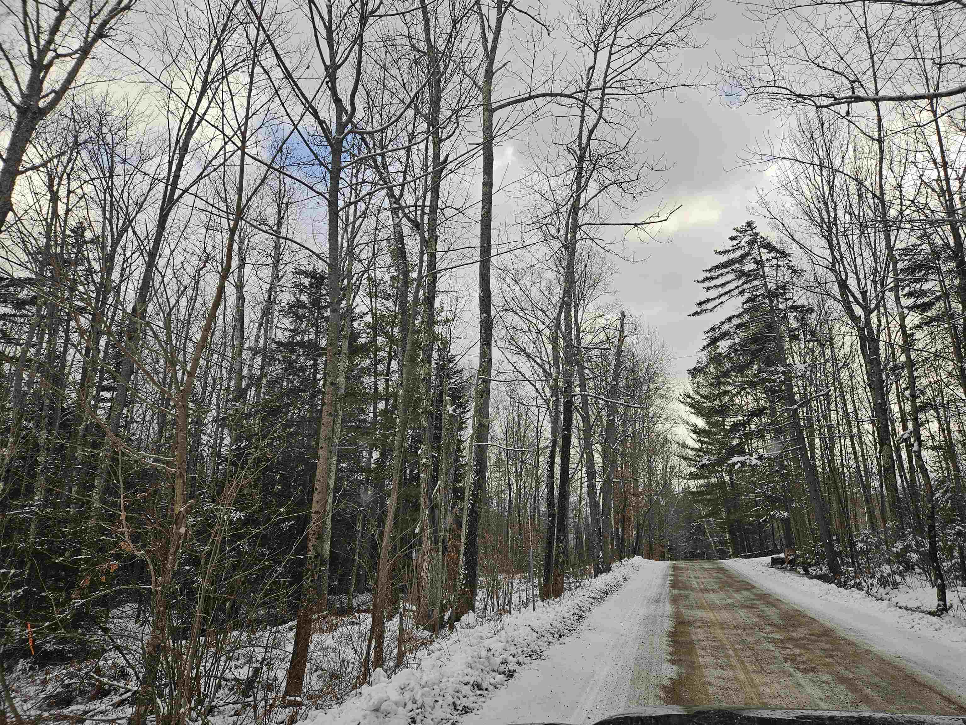 Lot 11 The Birches Road Sugar Hill, NH 03586 - Photo 2 of 20 Gallery Image 2