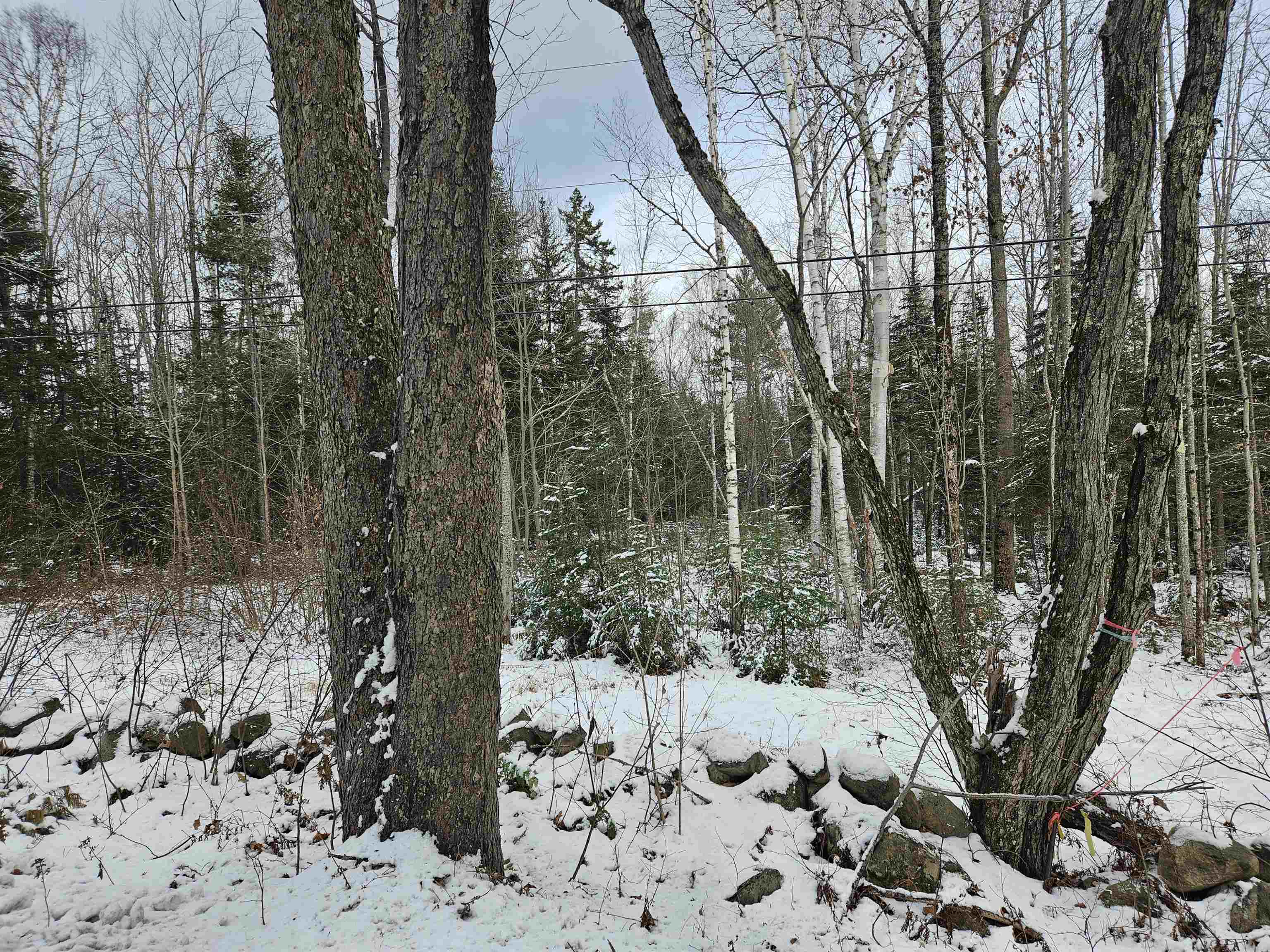 Lot 11 The Birches Road Sugar Hill, NH 03586 - Photo 3 of 20 Gallery Image 3