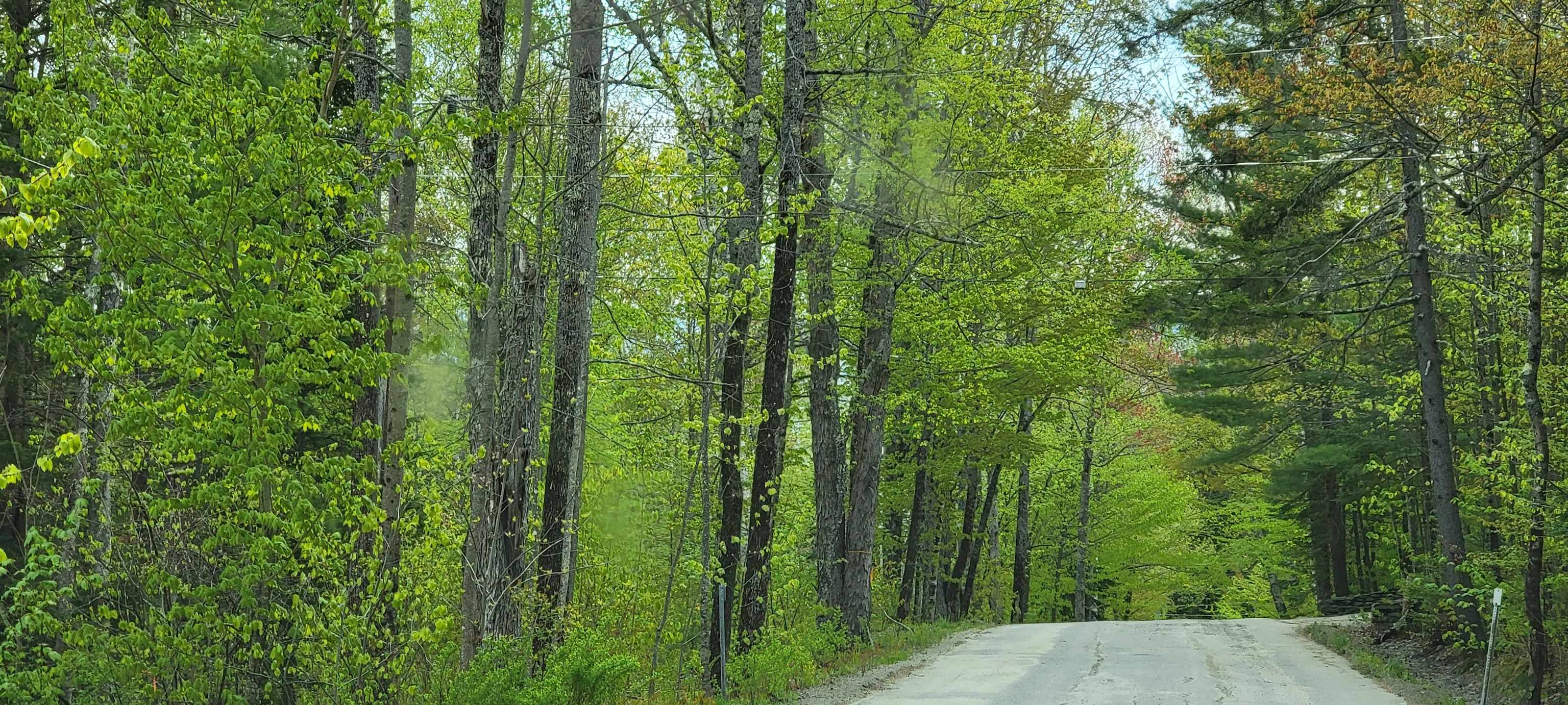 Lot 11 The Birches Road Sugar Hill, NH 03586 - Photo 4 of 20 Gallery Image 4