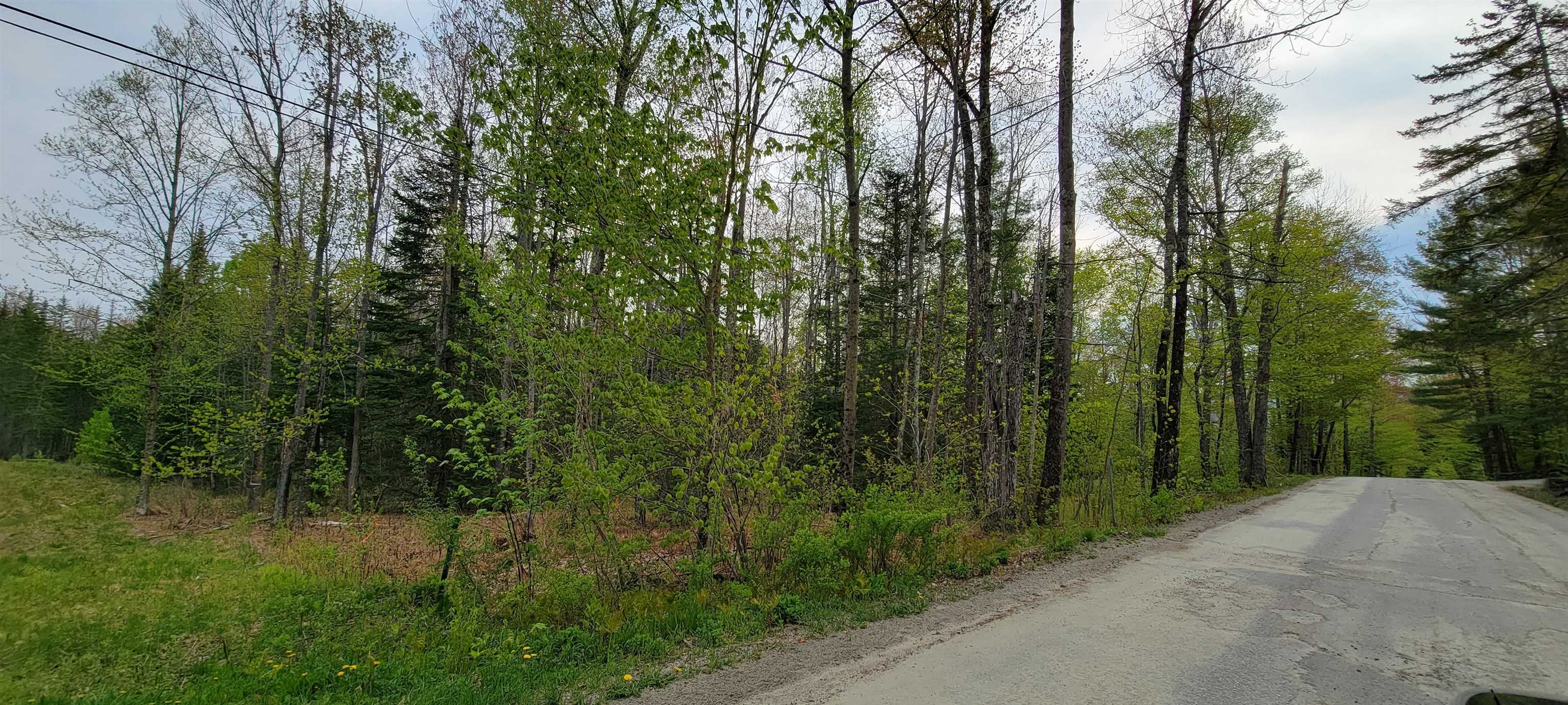 Lot 11 The Birches Road Sugar Hill, NH 03586 - Photo 5 of 20 Gallery Image 5
