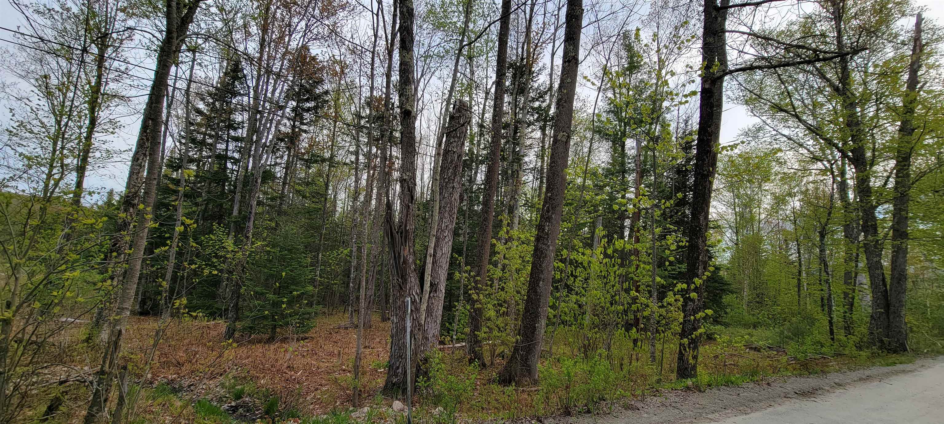 Lot 11 The Birches Road Sugar Hill, NH 03586 - Photo 6 of 20 Gallery Image 6