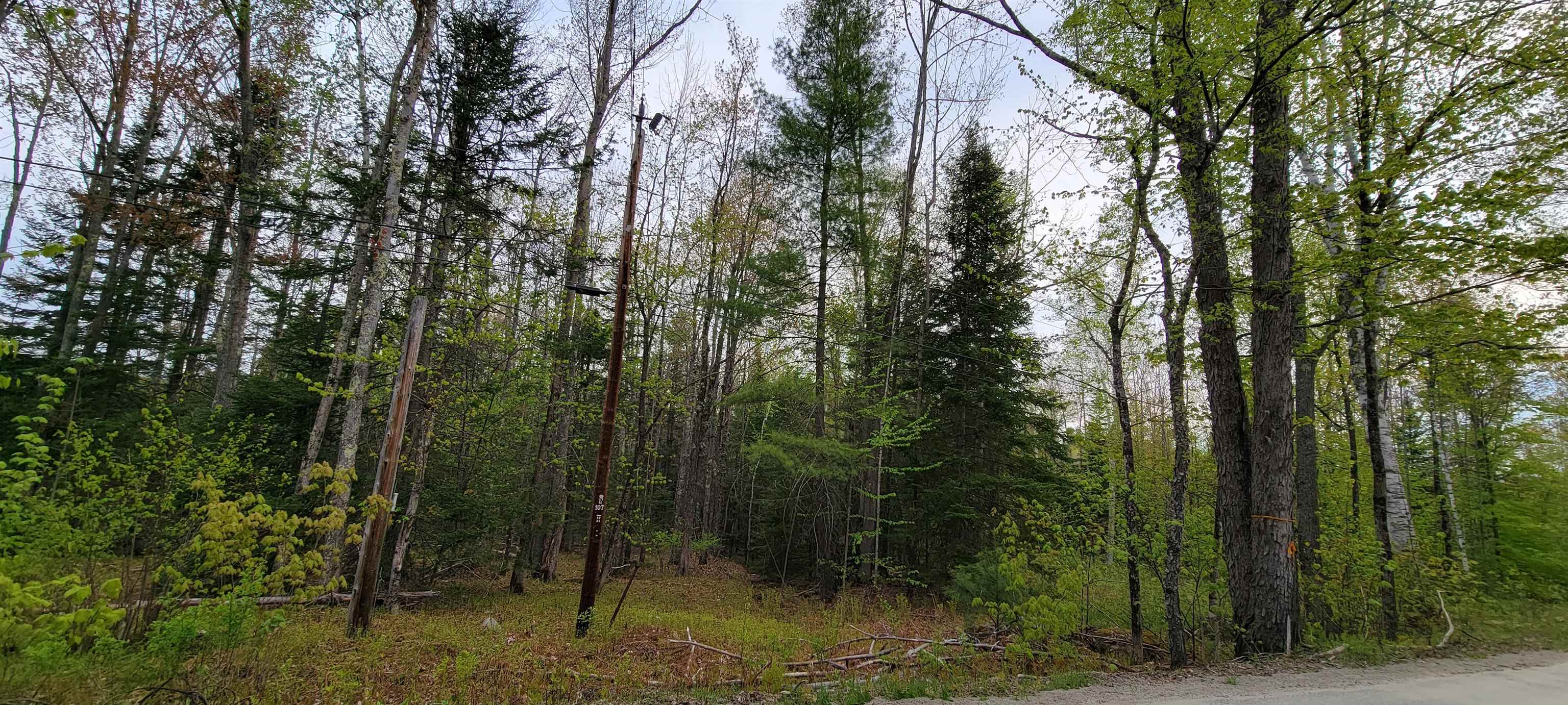 Lot 11 The Birches Road Sugar Hill, NH 03586 - Photo 7 of 20 Gallery Image 7