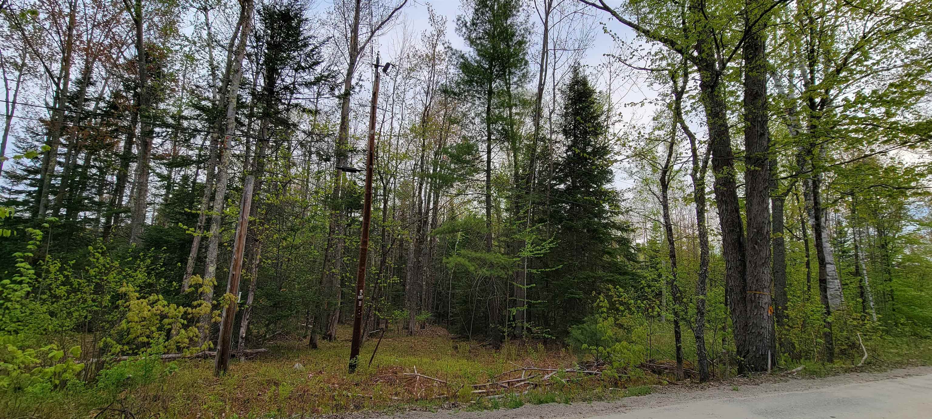 Lot 11 The Birches Road Sugar Hill, NH 03586 - Photo 8 of 20 Gallery Image 8
