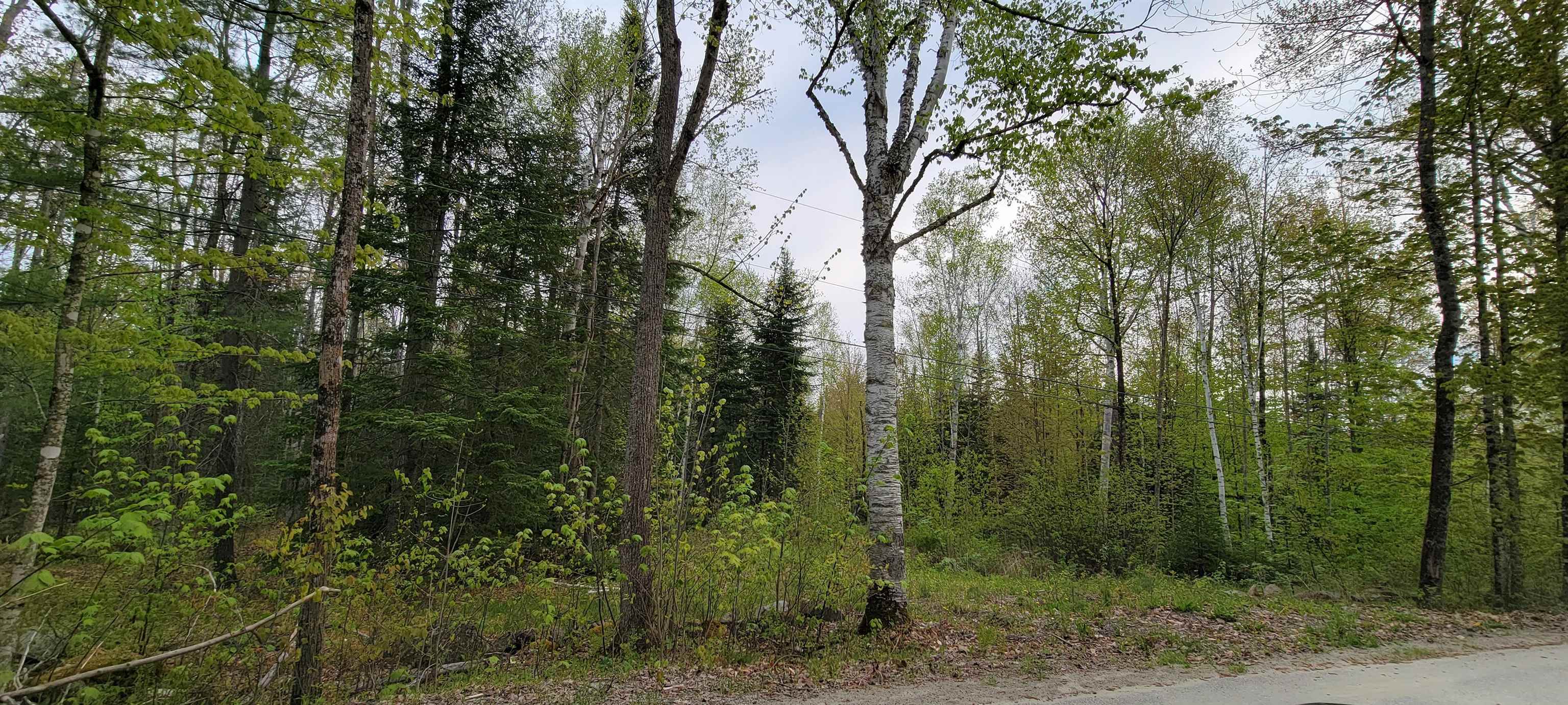 Lot 11 The Birches Road Sugar Hill, NH 03586 - Photo 9 of 20 Gallery Image 9