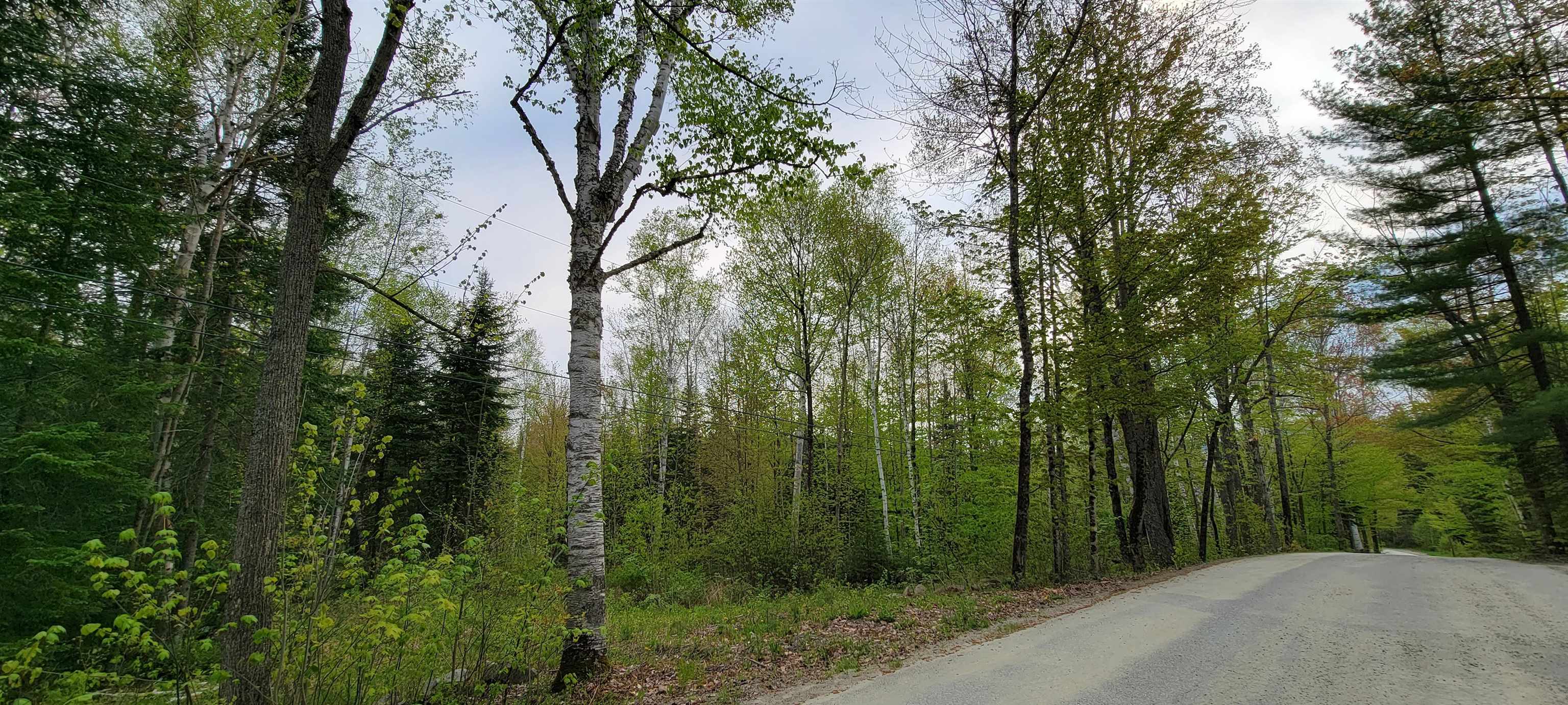 Lot 11 The Birches Road Sugar Hill, NH 03586 - Photo 10 of 20 Gallery Image 10