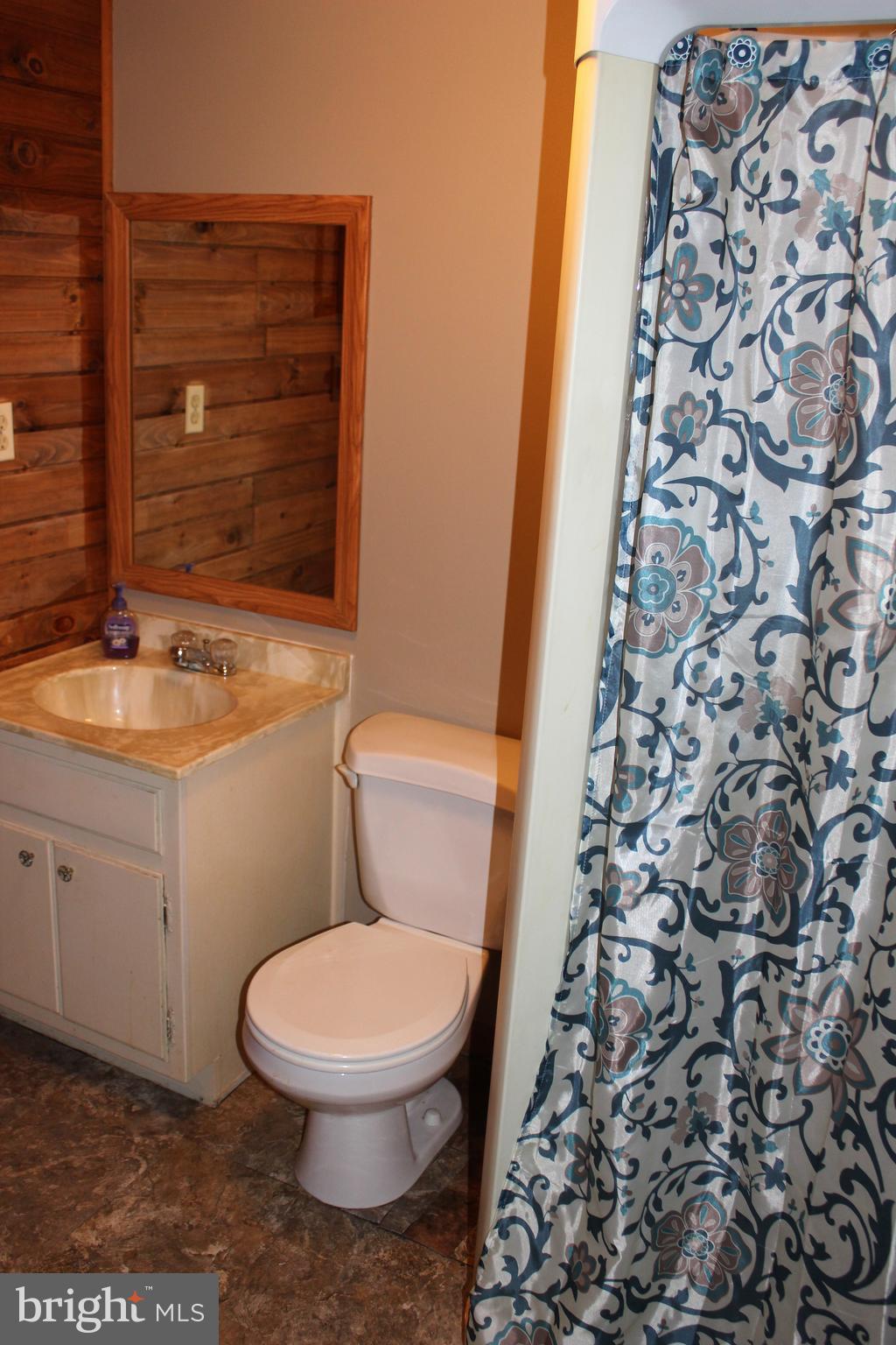 222 Dale Road Pasadena, MD 21122 - Photo 21 of 28 Lower level full bath.