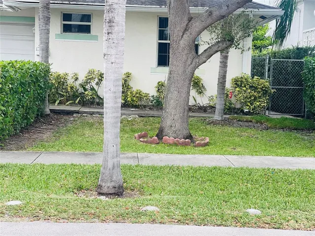 a view of a garden with a tree in front of the house