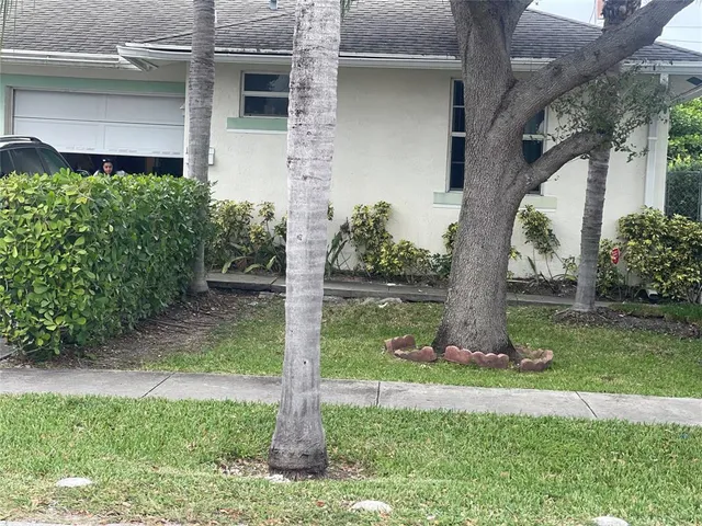 a view of a park with palm trees