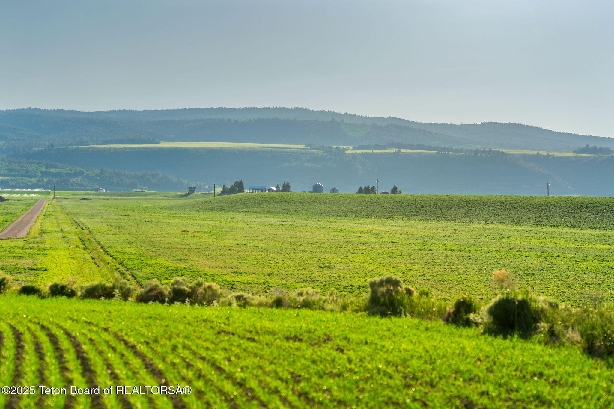 8000 West Tbd Street North Tetonia, ID 83452 - Photo 10 of 16 View West