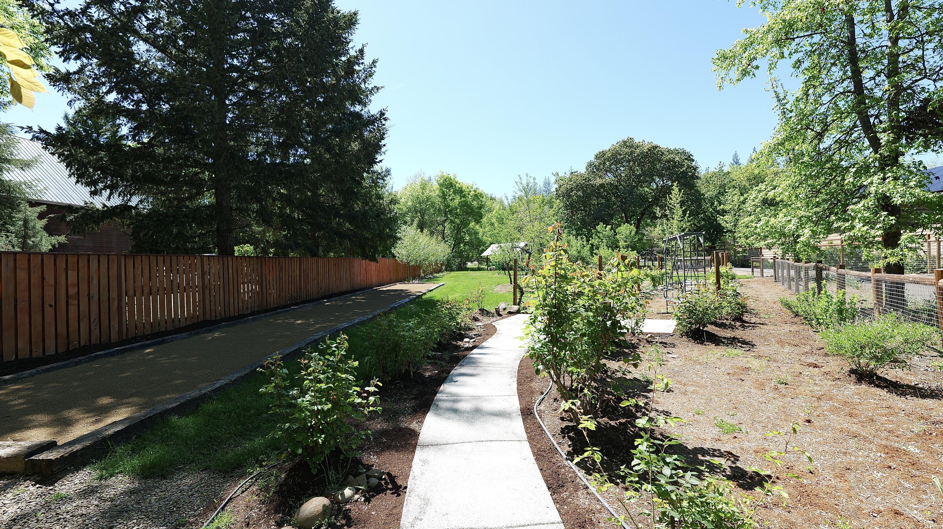 343 Rene Drive Shady Cove, OR 97539 - Photo 105 of 152 Yard