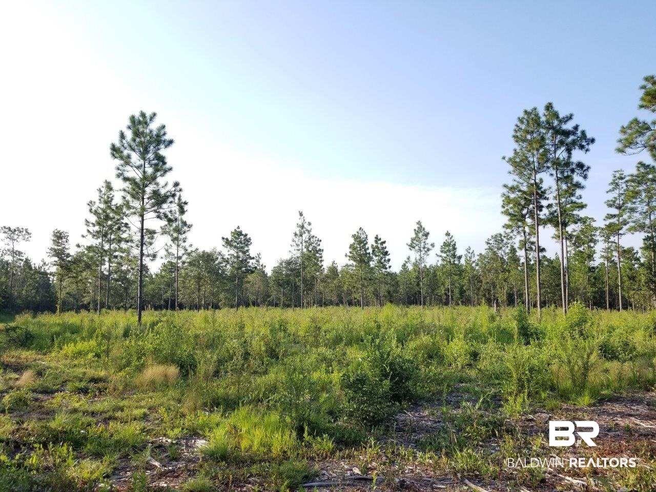 0 Jerkins Loop Atmore, AL 36502 - Photo 31 of 50