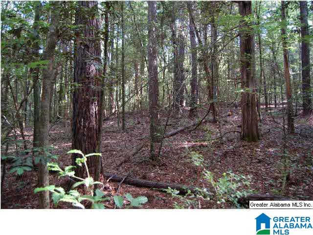 79 Northwest County Road, Unit 50 67 Prattville, AL 36067 - Photo 9 of 13
