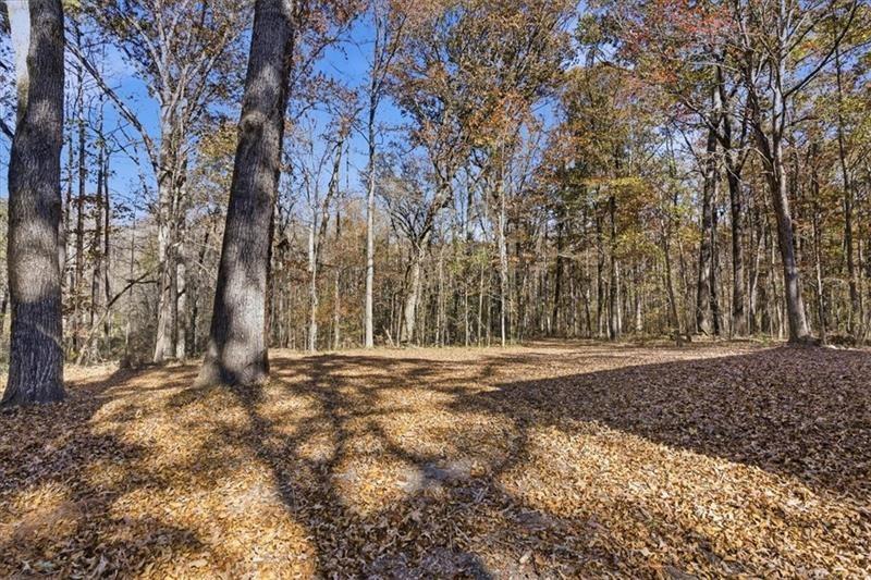 214 Bruce Road Douglasville, GA 30134 - Photo 38 of 52