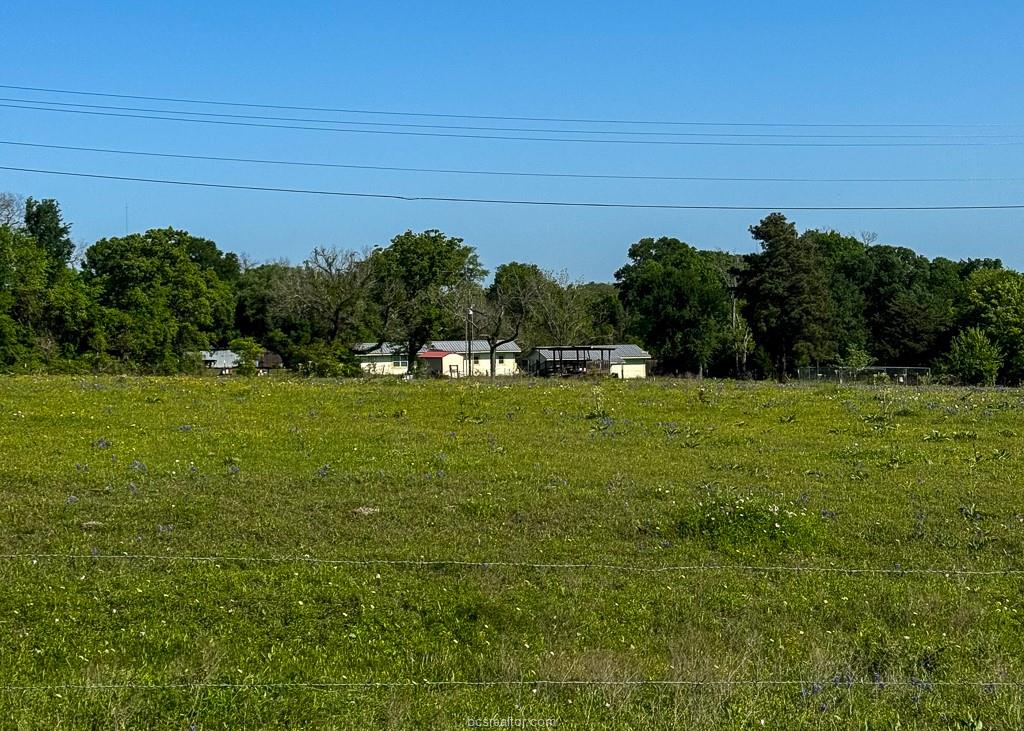 10 Fm 149 Road West Anderson, TX 77830 - Photo 12 of 17 a view of a green field