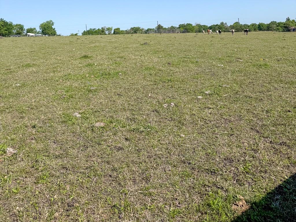 10 Fm 149 Road West Anderson, TX 77830 - Photo 13 of 17 a view of an ocean from a yard