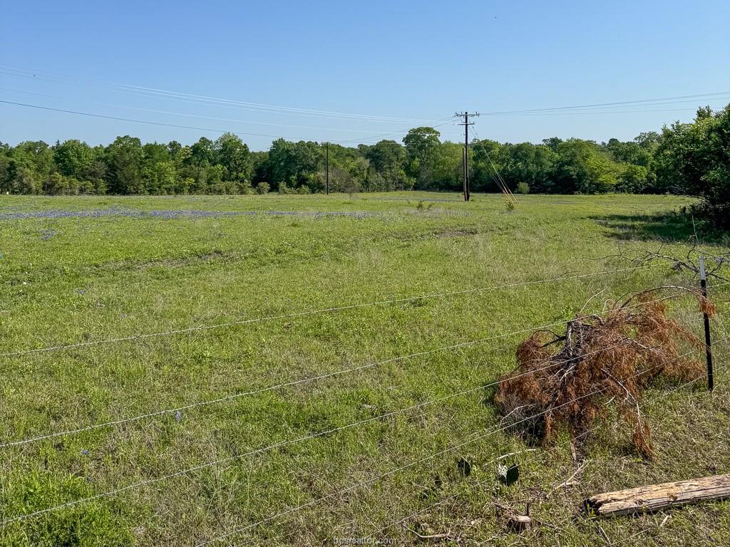10 Fm 149 Road West Anderson, TX 77830 - Photo 14 of 17 a view of a field with trees in the background