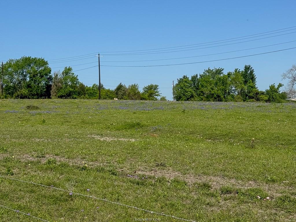 10 Fm 149 Road West Anderson, TX 77830 - Photo 15 of 17 a view of a field with an trees