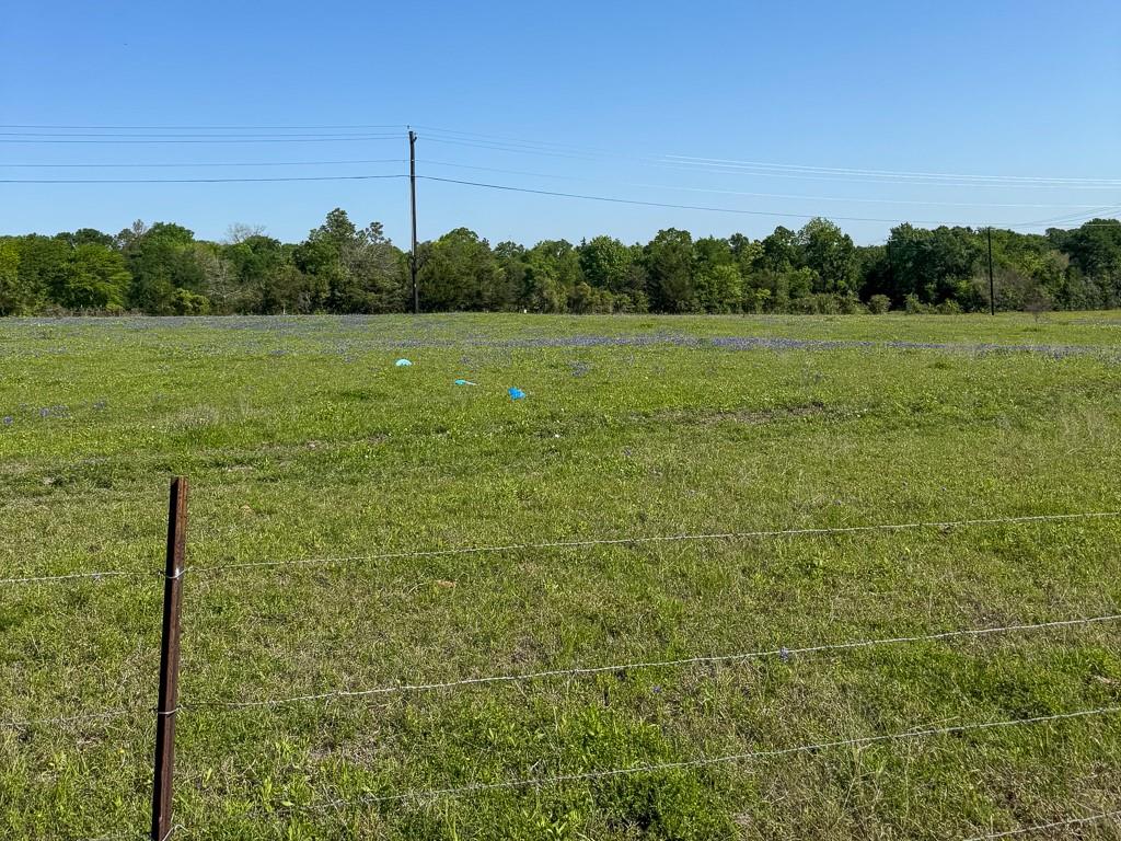 10 Fm 149 Road West Anderson, TX 77830 - Photo 7 of 17 a view of a field with an ocean view
