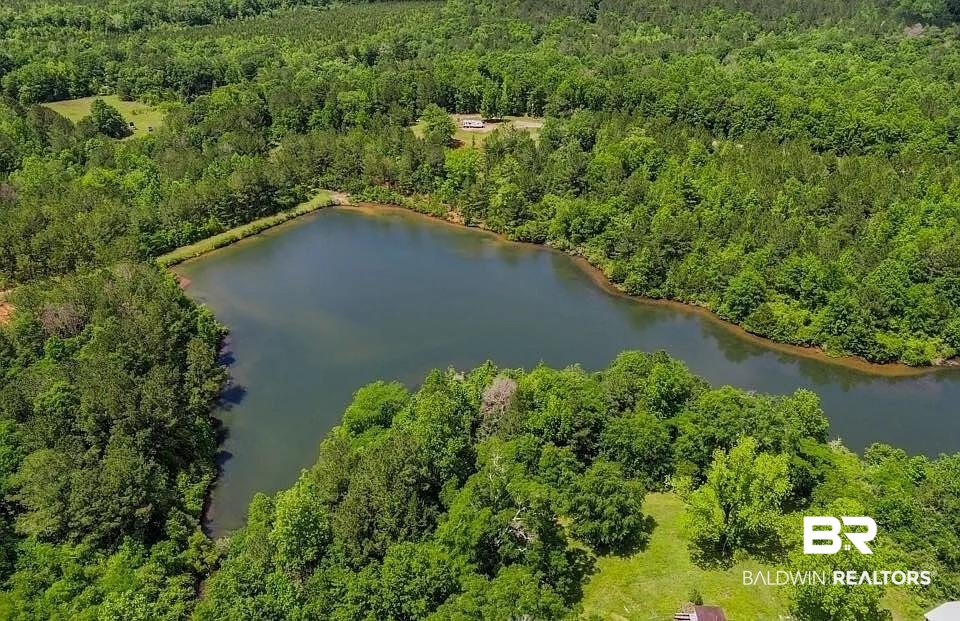 0 Loree Road Evergreen, AL 36401 - Photo 1 of 10 Aerial view of a heavily wooded area and a nearby body of water