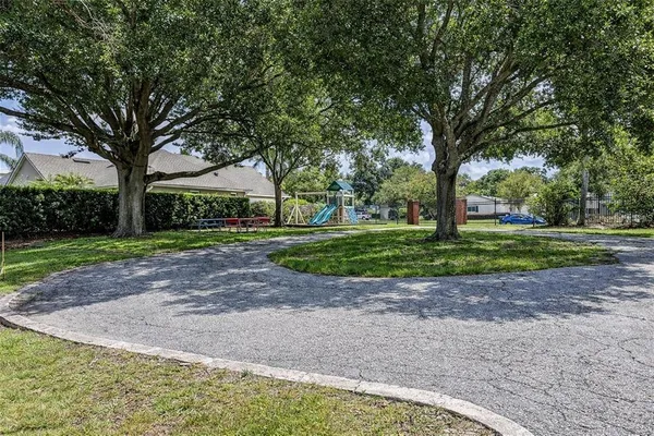 a view of a tree in a park