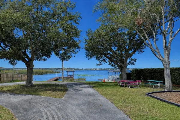 a view of a garden with a tree