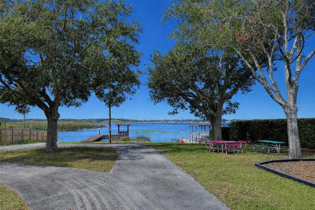 4222 Old Dominion Road Orlando, FL 32812 - Photo 37 of 49 a view of a garden with a tree