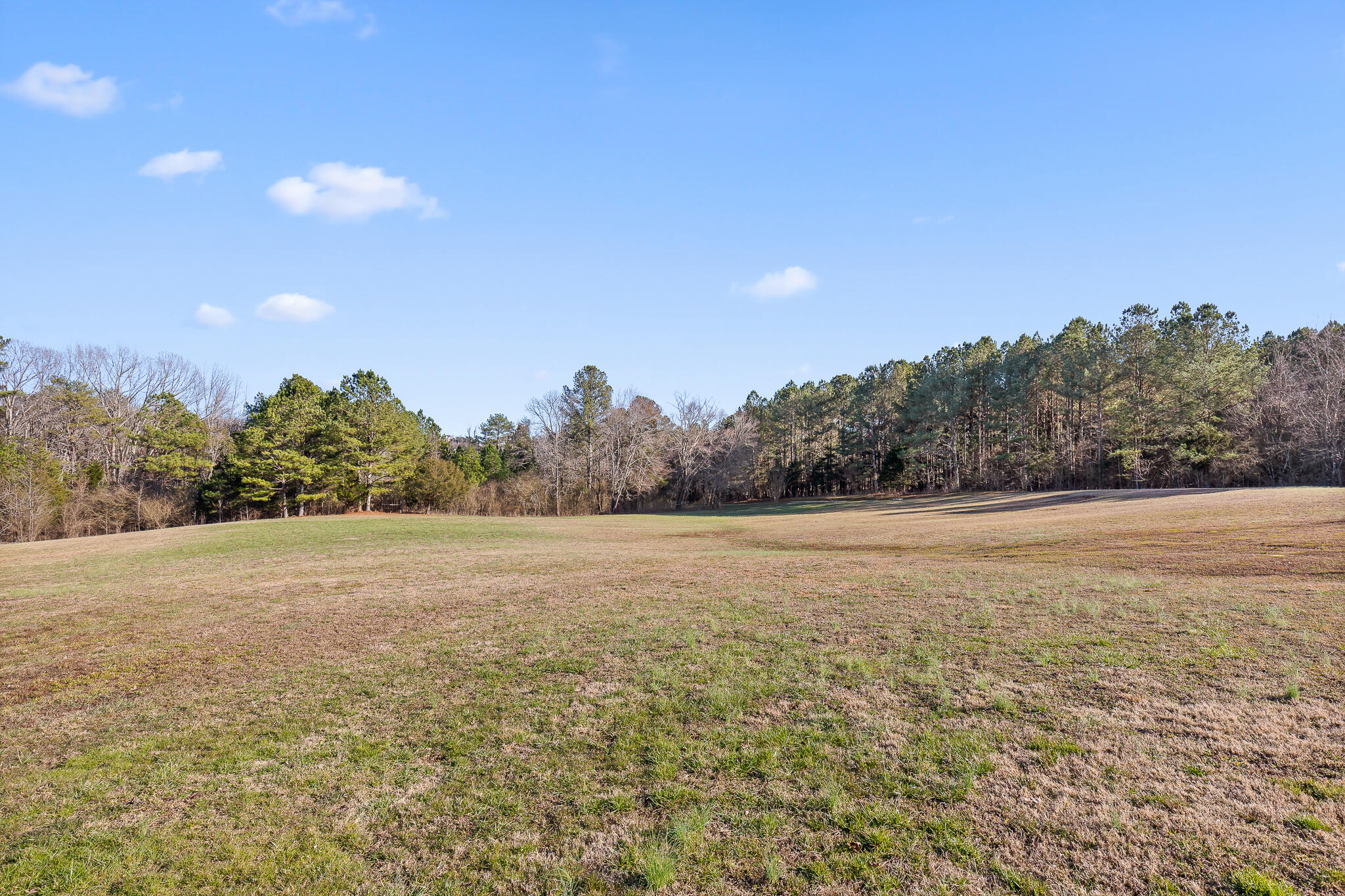 11411 Blair Road Apison, TN 37302 - Photo 61 of 64 Blair-49