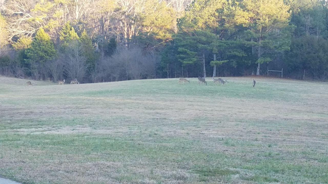 11411 Blair Road Apison, TN 37302 - Photo 63 of 64 123_1(5)