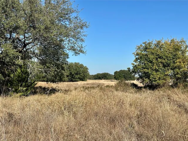 a view of a yard with plants and a tree