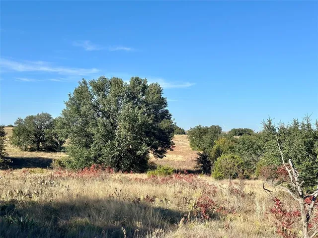 a view of a field with a tree in the background