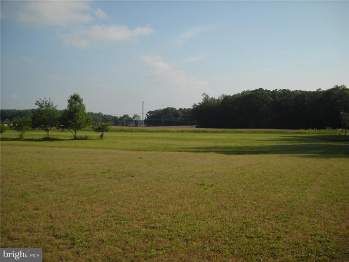 1835 Halltown Road Hartly, DE 19953 - Photo 24 of 25 Back Yard