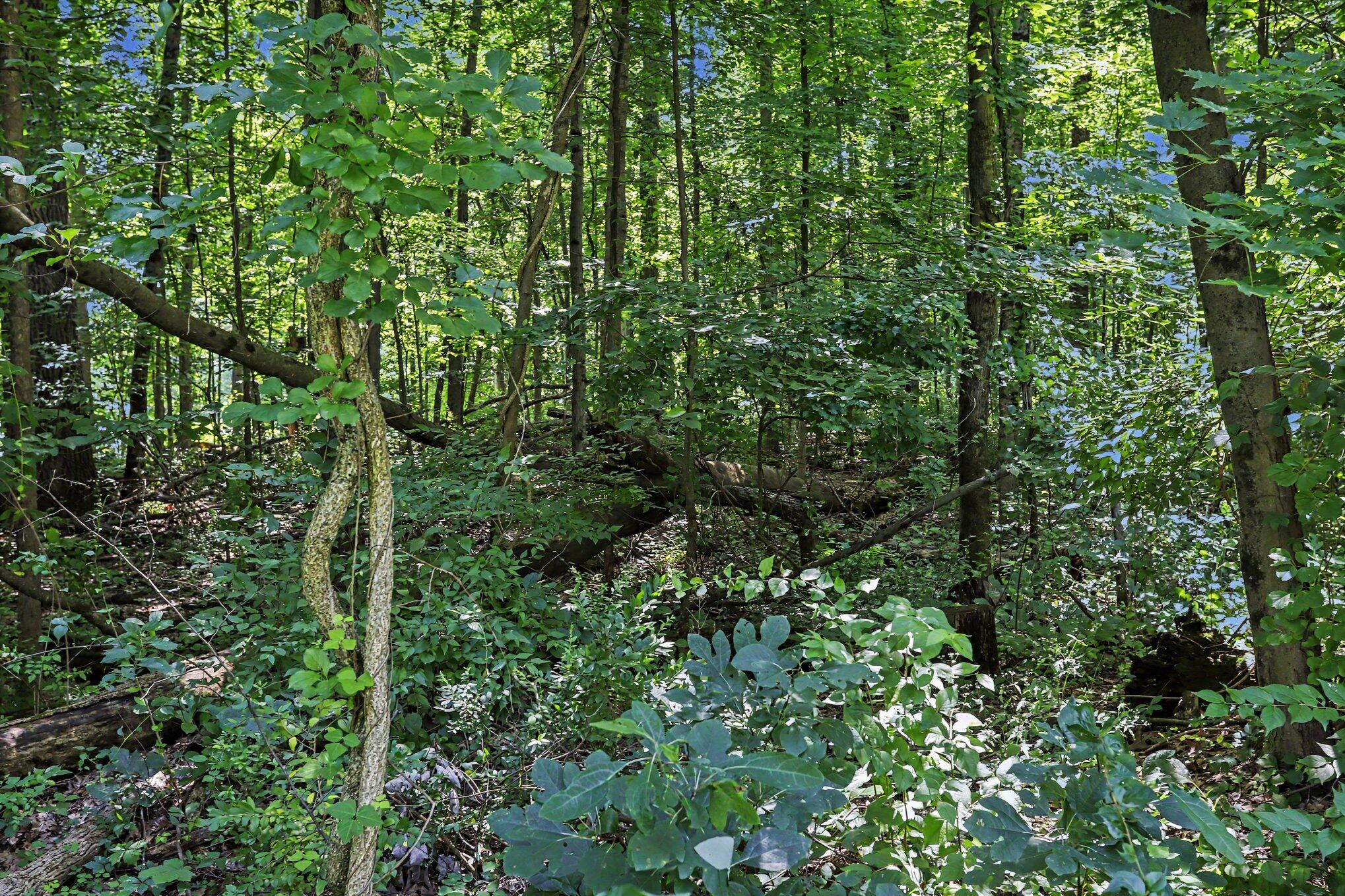 Three Middle Road, Unit LOTS 45 & 46 Three Rivers, MI 49093 - Photo 12 of 17 005_file_1502