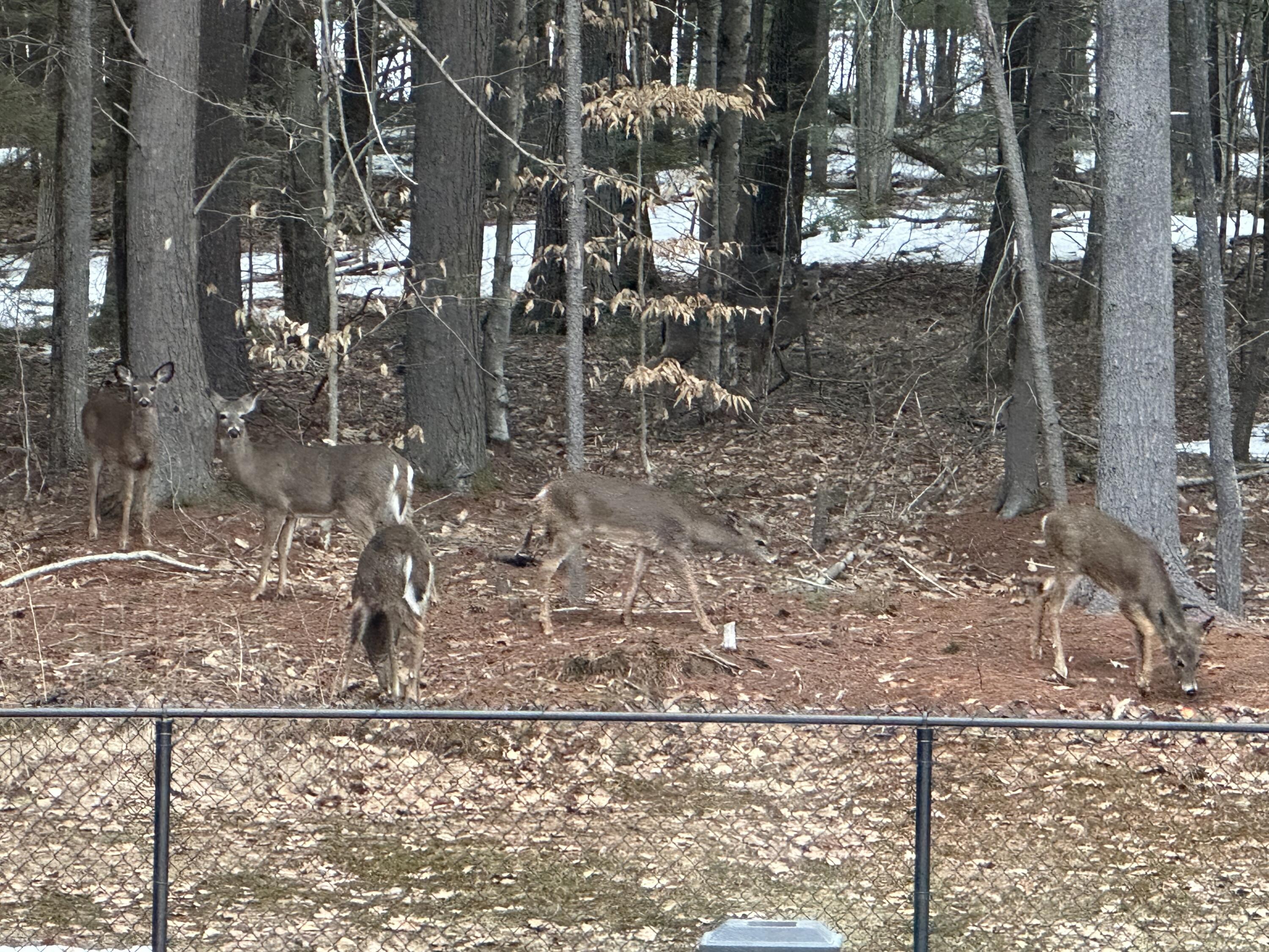 720 Parker Farm Road Buxton, ME 04093 - Photo 43 of 43 image4