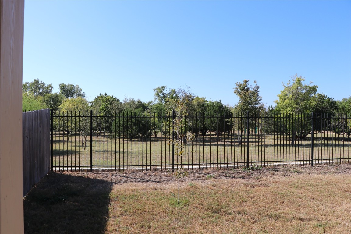 321 Parrot Tulip View Pflugerville, TX 78660 - Photo 29 of 33
