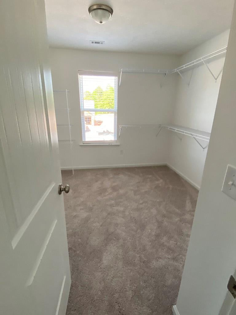 507 Schaver Loop Aiken, SC 29803 - Photo 17 of 17