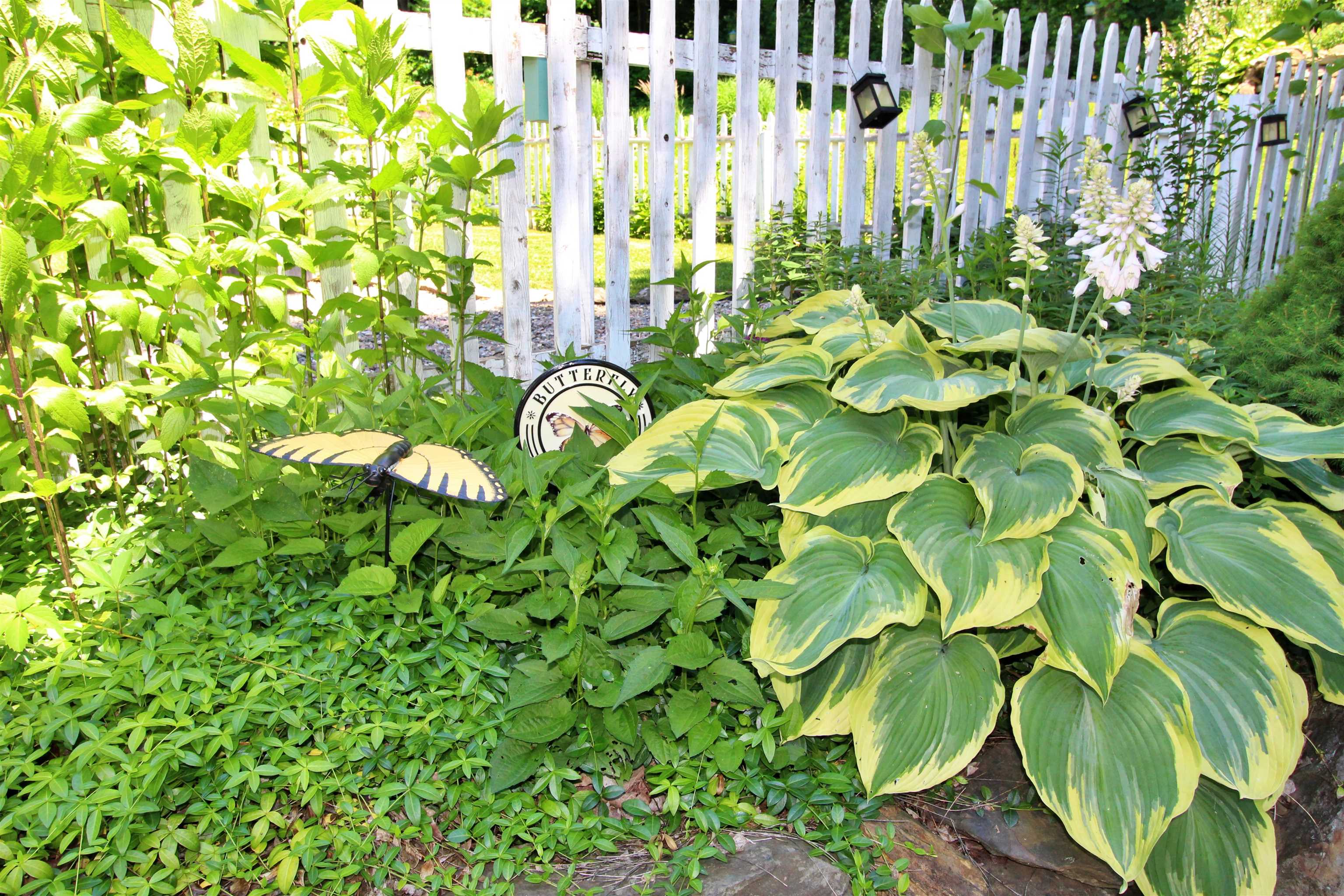 387 St Albans Road Swanton, VT 05488 - Photo 46 of 60