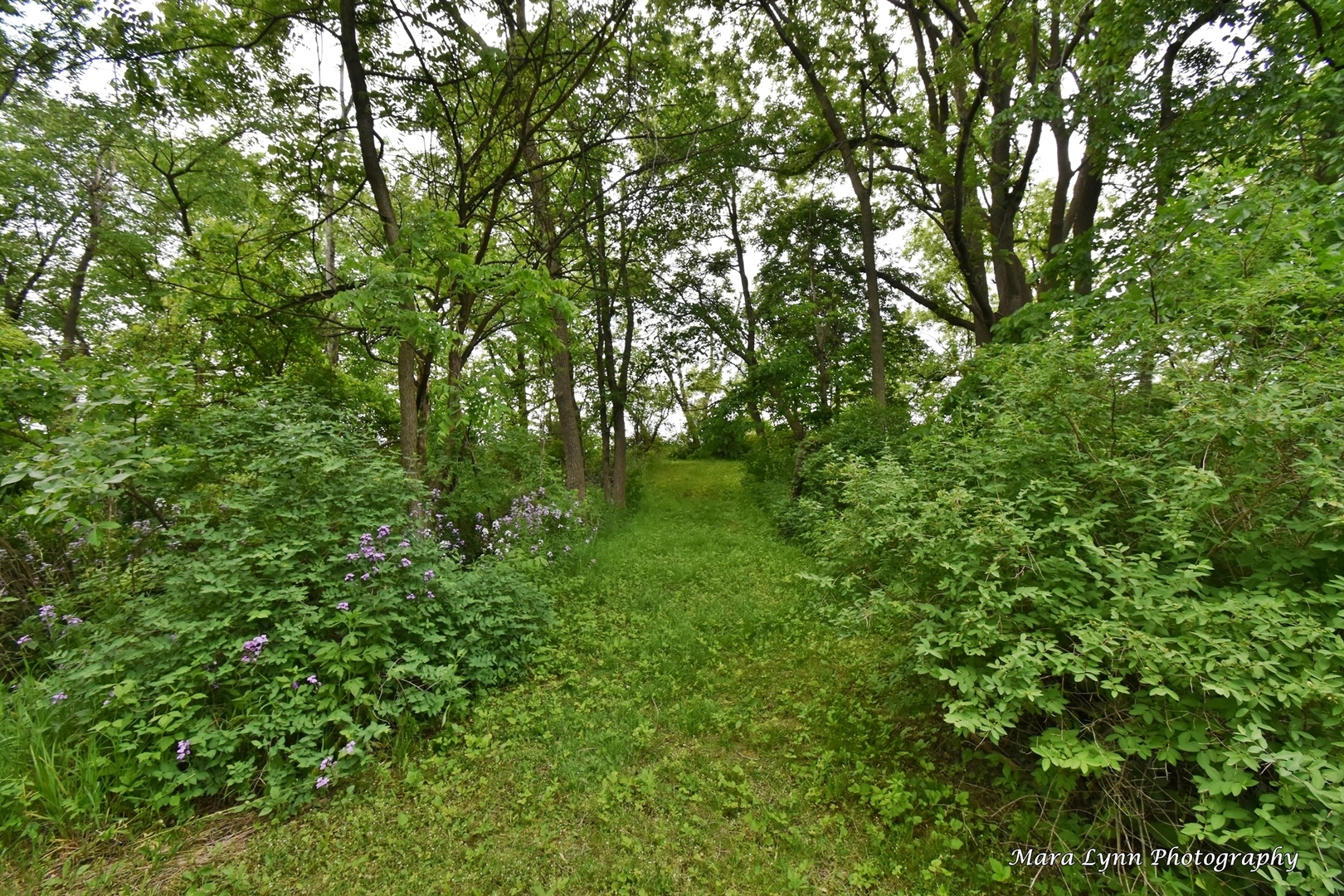 9040 South Mayfield Road Sycamore, IL 60178 - Photo 54 of 61
