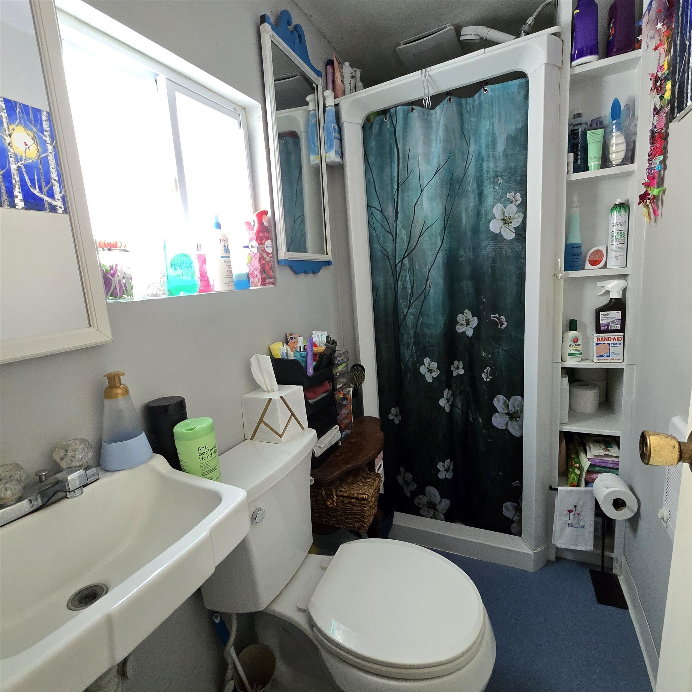 66 A Spring Street Alton, NH 03810 - Photo 10 of 11