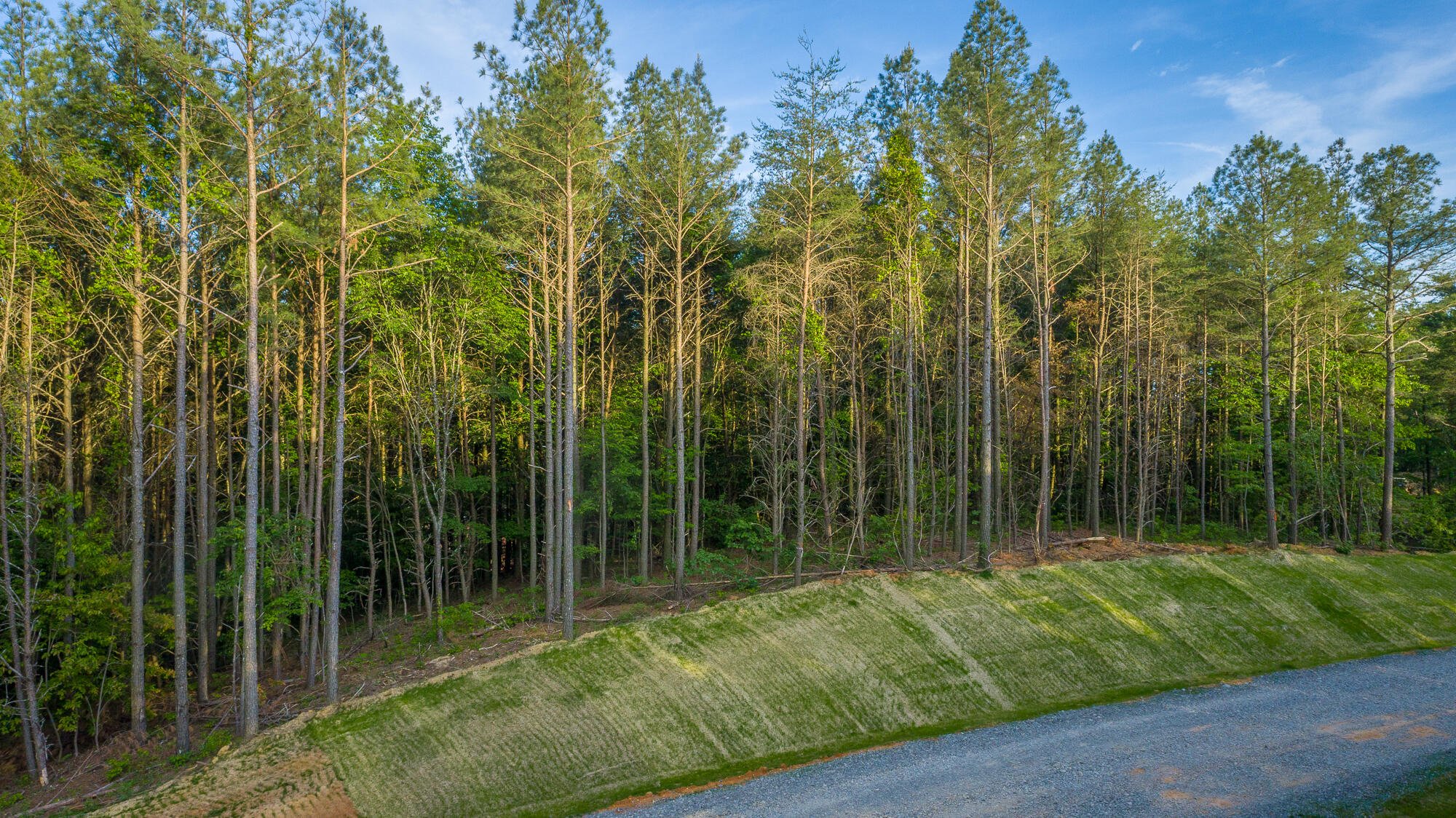 0 Cannon Way, Unit LOT 1317 Guild, TN 37340 - Photo 18 of 99 0 Cannon Way - Lot 1317 HD-2