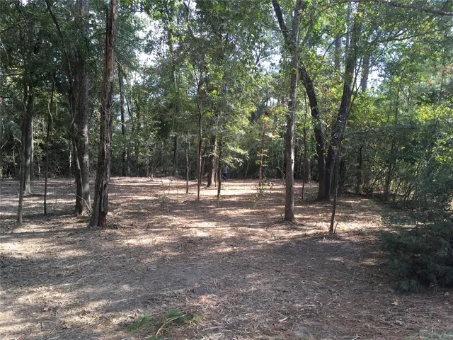 a view of outdoor space with trees
