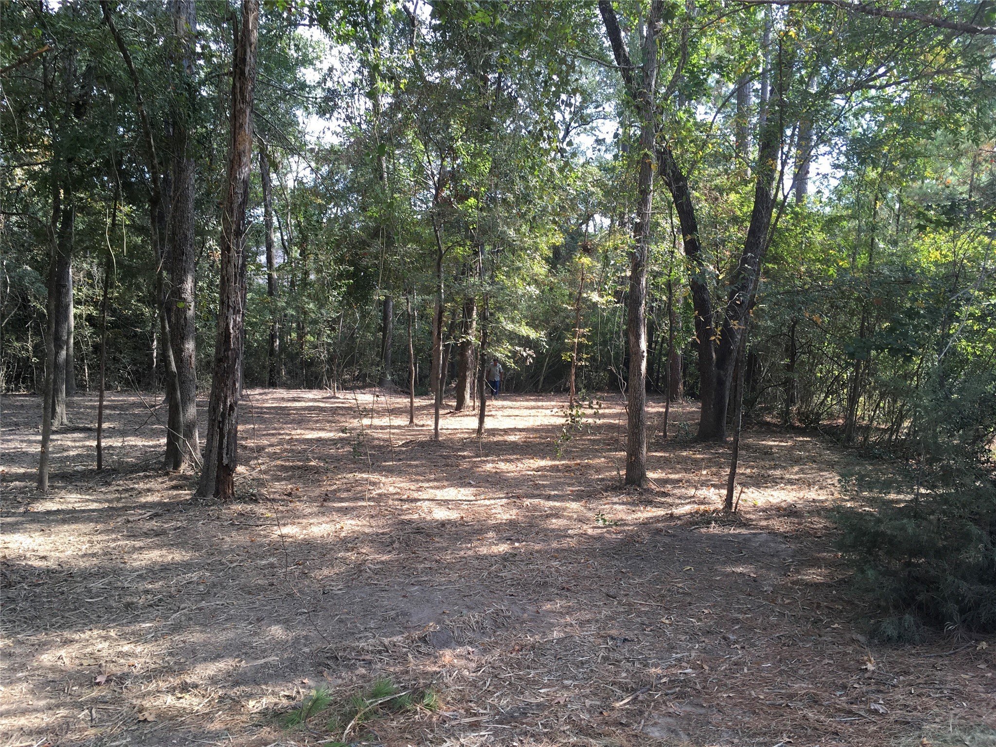 a view of outdoor space with trees