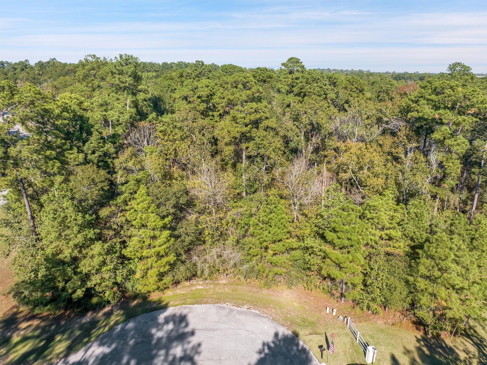 1930 Autumn Ridge Drive Conroe, TX 77304 - Photo 11 of 17 a view of a lake with a yard