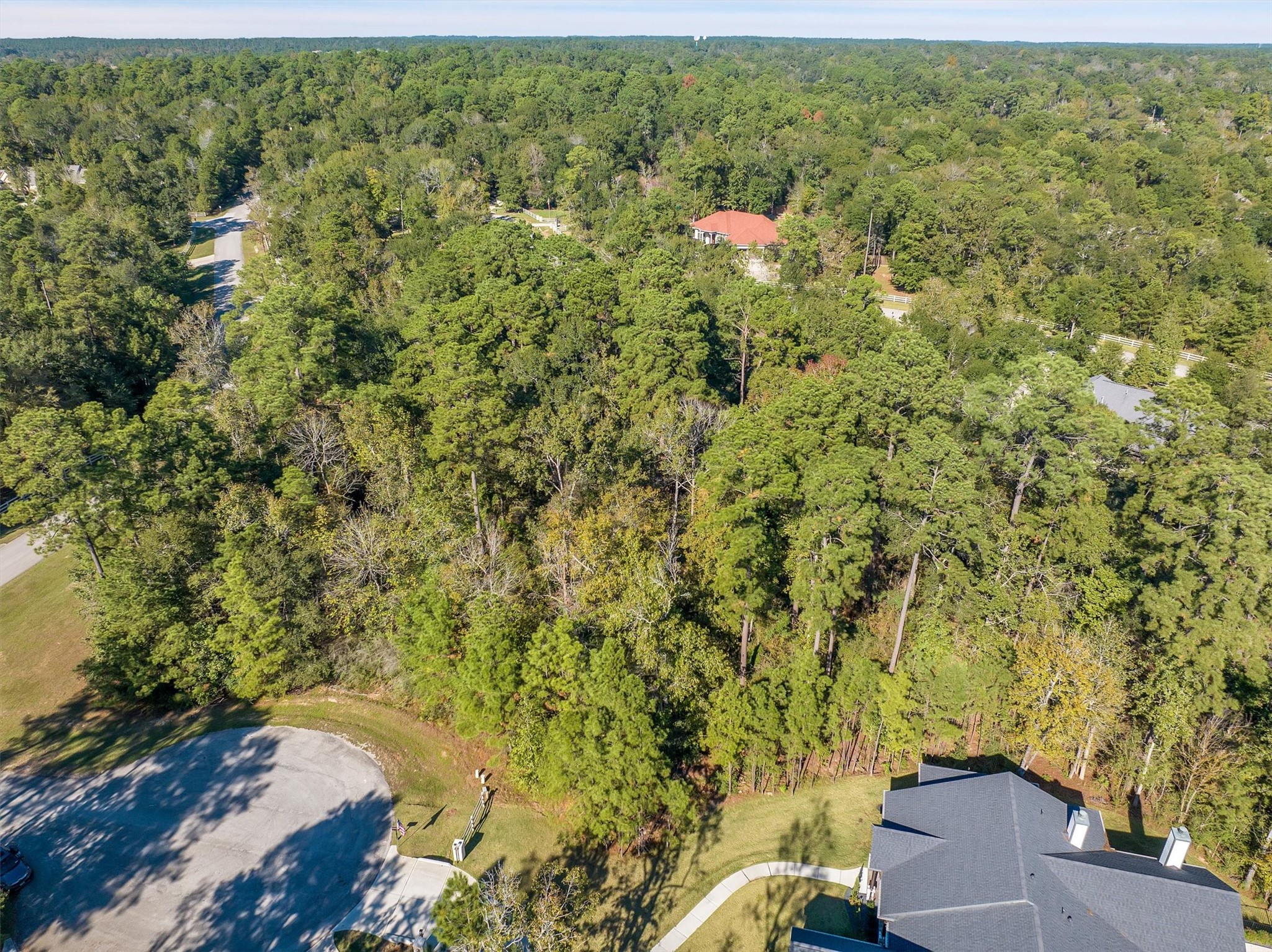 1930 Autumn Ridge Drive Conroe, TX 77304 - Photo 13 of 17 a view of a yard with plants